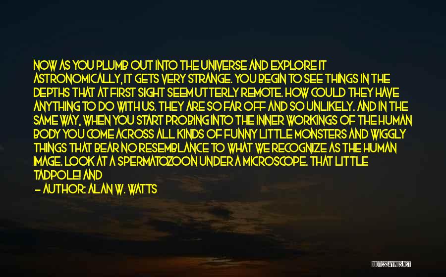 Little Monsters Quotes By Alan W. Watts