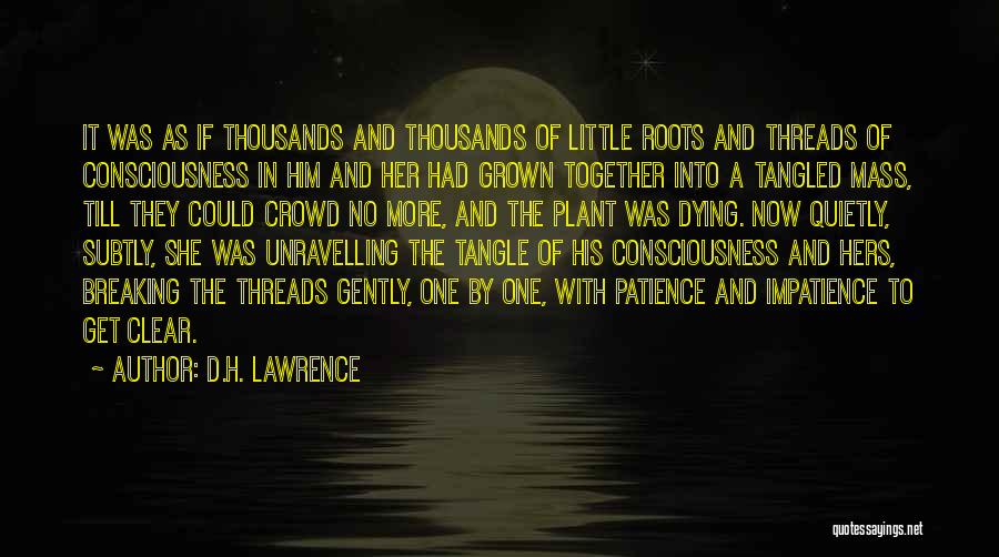 Little More Patience Quotes By D.H. Lawrence