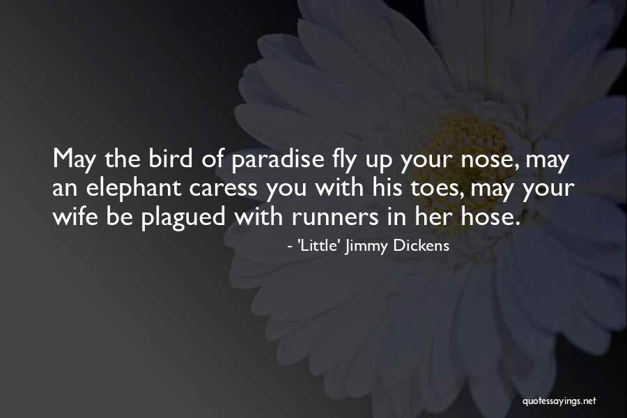 Little Paradise Quotes By 'Little' Jimmy Dickens Little Paradise Quotes By 'Little' Jimmy Dickens