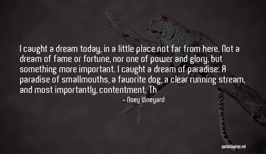 Little Paradise Quotes By Noey Vineyard Little Paradise Quotes By Noey Vineyard