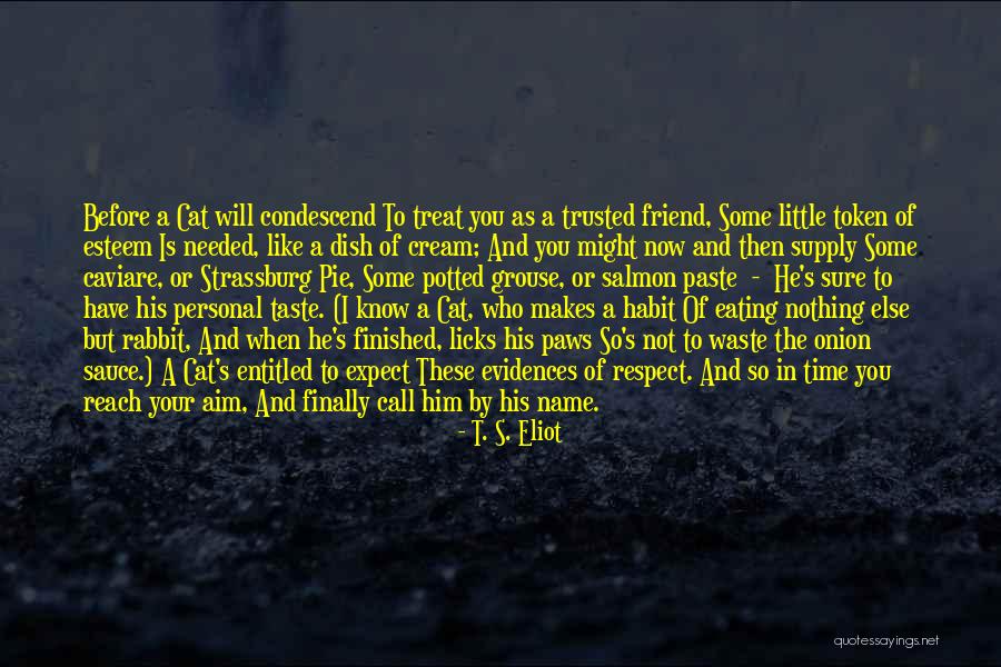 Little Paws Quotes By T. S. Eliot Little Paws Quotes By T. S. Eliot