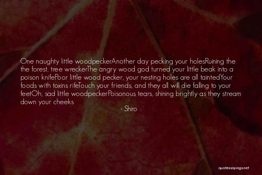 Little Pecker Quotes By Shiro Little Pecker Quotes By Shiro