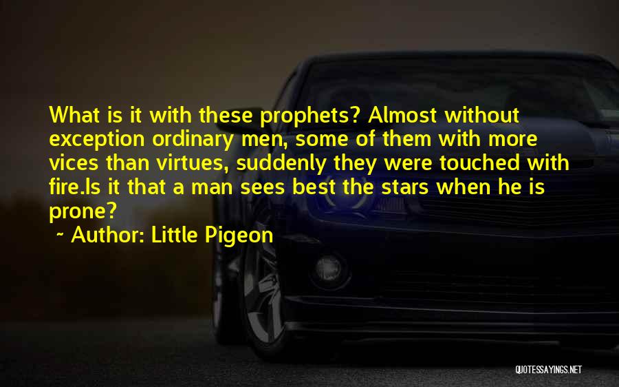 Little Pigeon Quotes 1020208