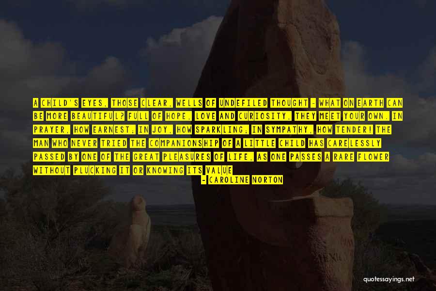 Little Pleasures Quotes By Caroline Norton Little Pleasures Quotes By Caroline Norton