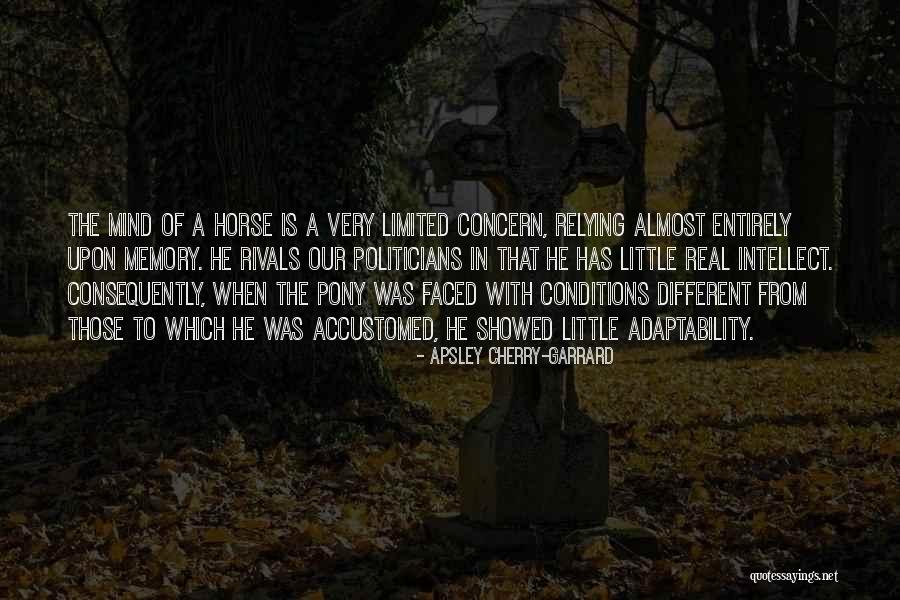 Little Pony Quotes By Apsley Cherry-Garrard Little Pony Quotes By Apsley Cherry-Garrard