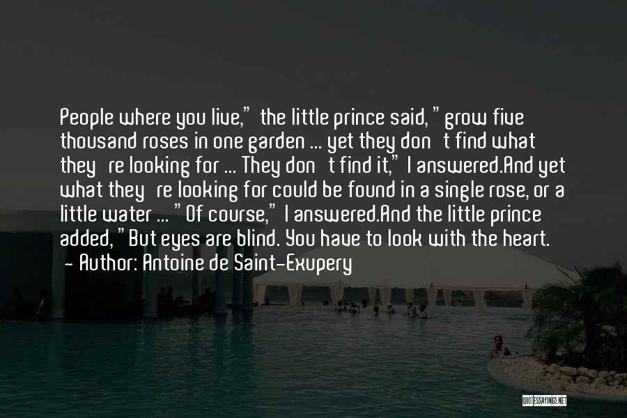 Little Prince And Rose Quotes By Antoine De Saint-Exupery