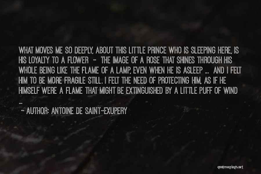 Little Prince And Rose Quotes By Antoine De Saint-Exupery