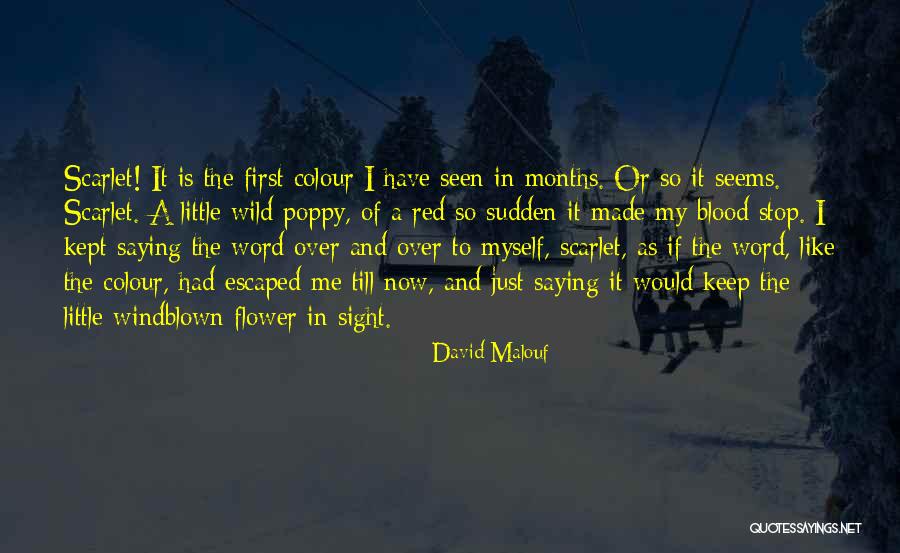 Little Scarlet Quotes By David Malouf