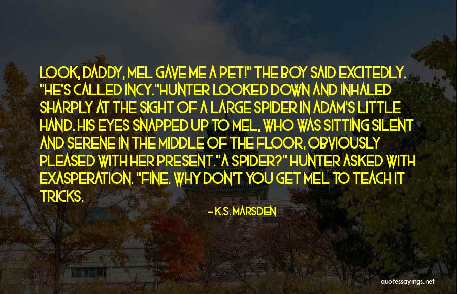 Little Spider Quotes By K.S. Marsden Little Spider Quotes By K.S. Marsden