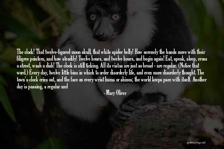 Little Spider Quotes By Mary Oliver Little Spider Quotes By Mary Oliver