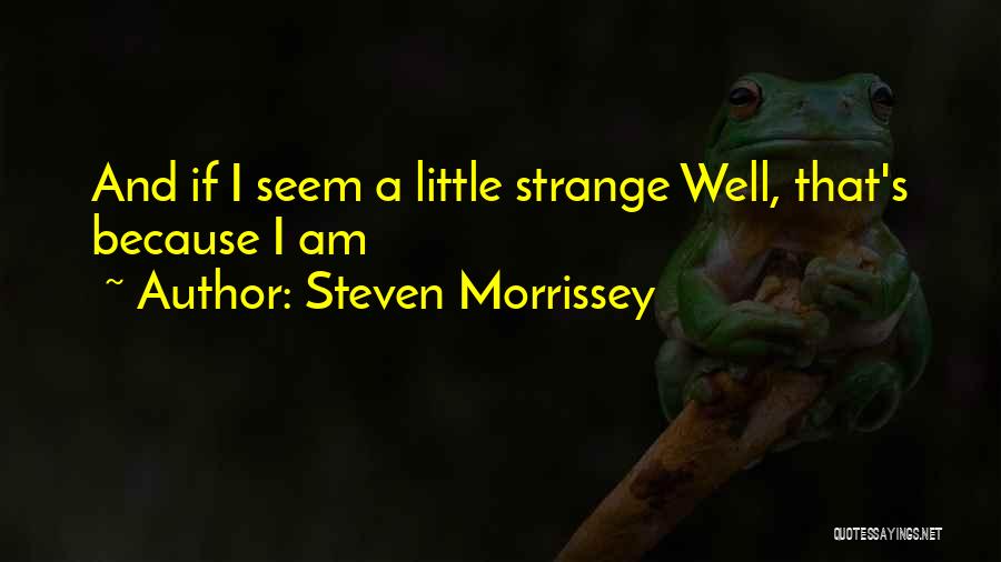 Little Steven Quotes By Steven Morrissey