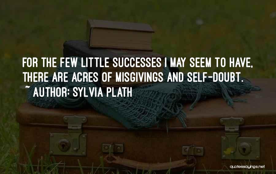 Little Successes Quotes By Sylvia Plath