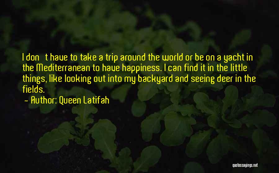 Little Things And Happiness Quotes By Queen Latifah