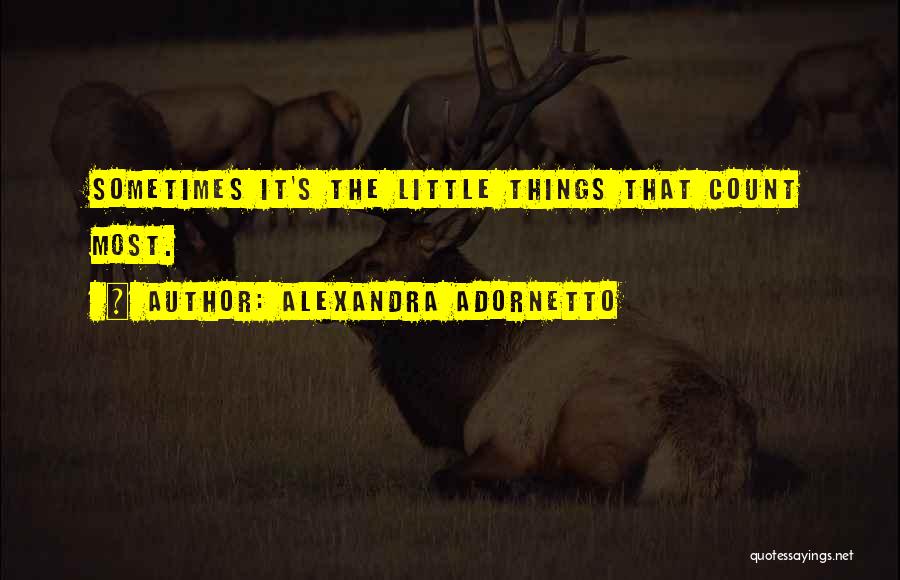 Little Things Count Quotes By Alexandra Adornetto