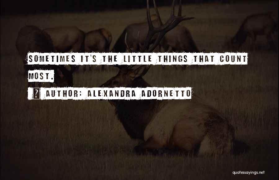 Little Things Count The Most Quotes By Alexandra Adornetto