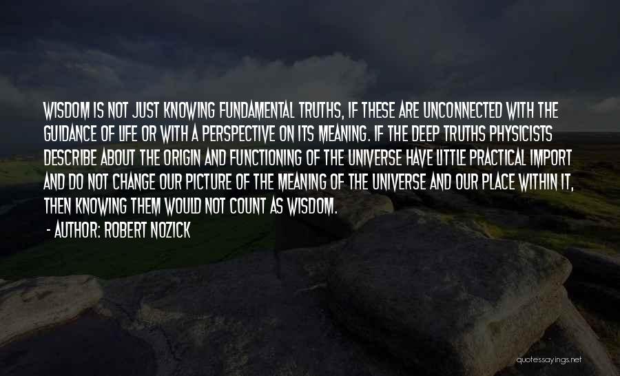 Little Things Count The Most Quotes By Robert Nozick