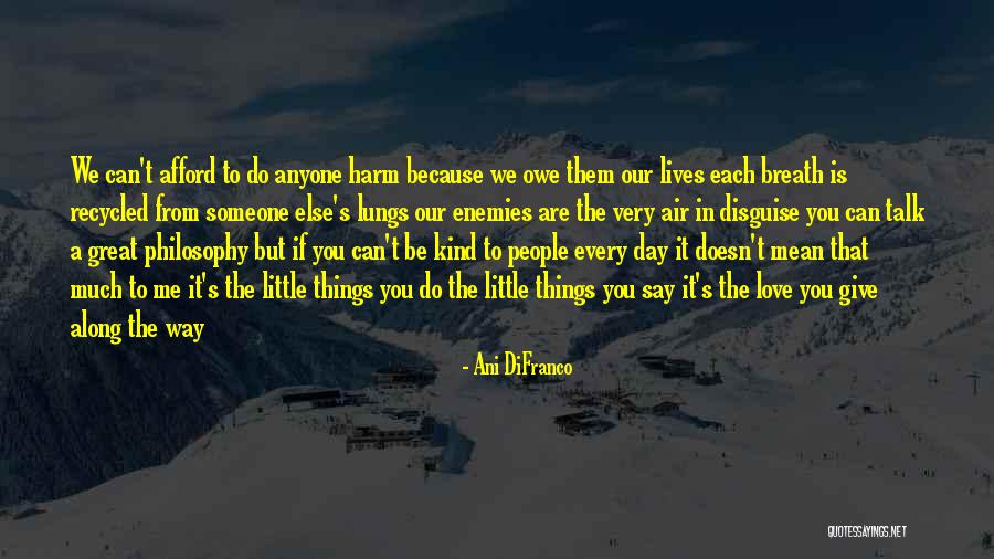 Little Things In Love Quotes By Ani DiFranco