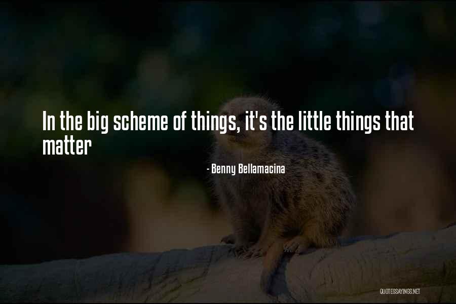 Little Things In Love Quotes By Benny Bellamacina