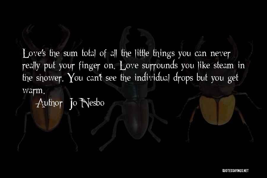 Little Things In Love Quotes By Jo Nesbo