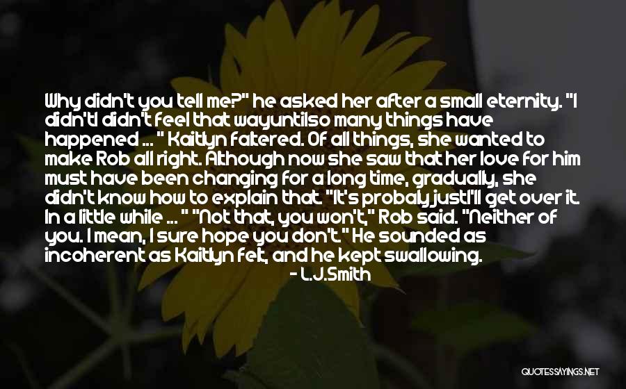 Little Things In Love Quotes By L.J.Smith