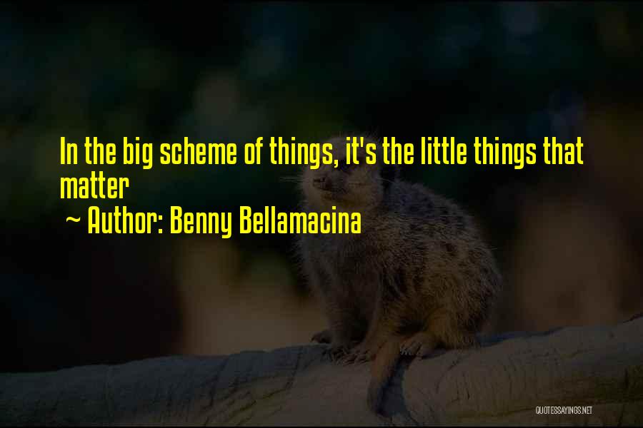 Little Things Life Quotes By Benny Bellamacina