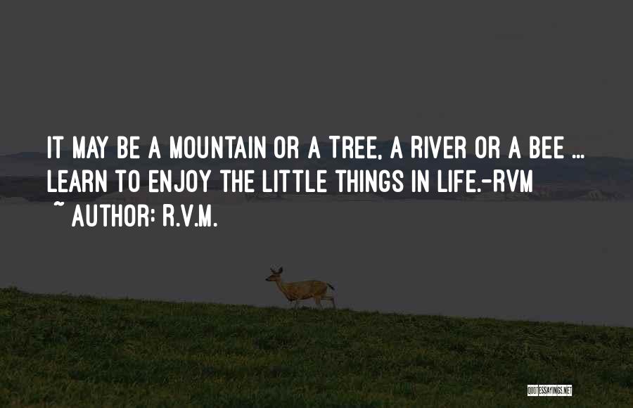 Little Things Life Quotes By R.v.m.