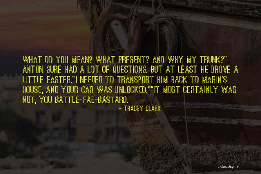 Little Things Mean A Lot Quotes By Tracey Clark Little Things Mean A Lot Quotes By Tracey Clark