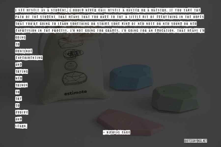 Little Things Mean Everything Quotes By Nicolas Cage Little Things Mean Everything Quotes By Nicolas Cage