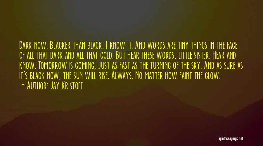 Little Things That Matter Quotes By Jay Kristoff