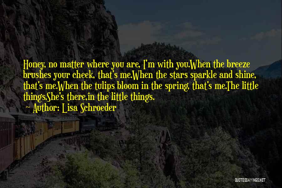 Little Things That Matter Quotes By Lisa Schroeder