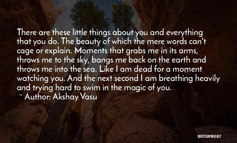 Little Things You Do For Me Quotes By Akshay Vasu