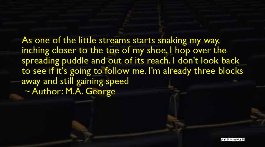 Little Toe Quotes By M.A. George