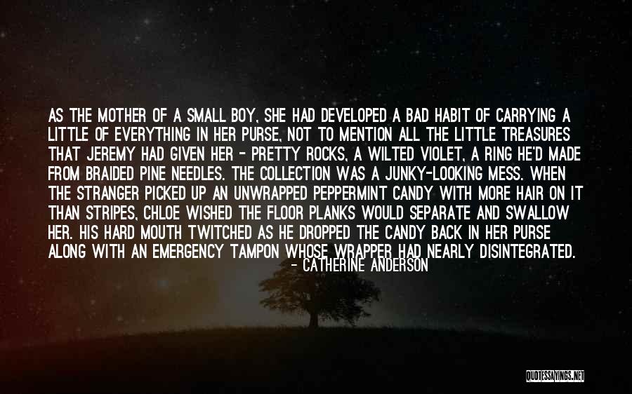 Little Treasures Quotes By Catherine Anderson Little Treasures Quotes By Catherine Anderson