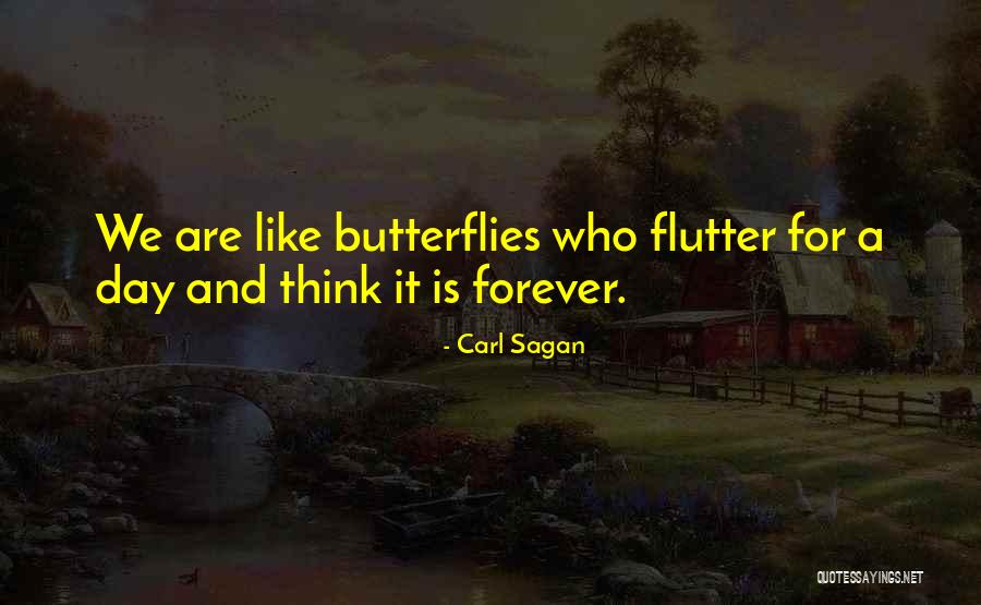 Littlepage Optical Corpus Quotes By Carl Sagan Littlepage Optical Corpus Quotes By Carl Sagan