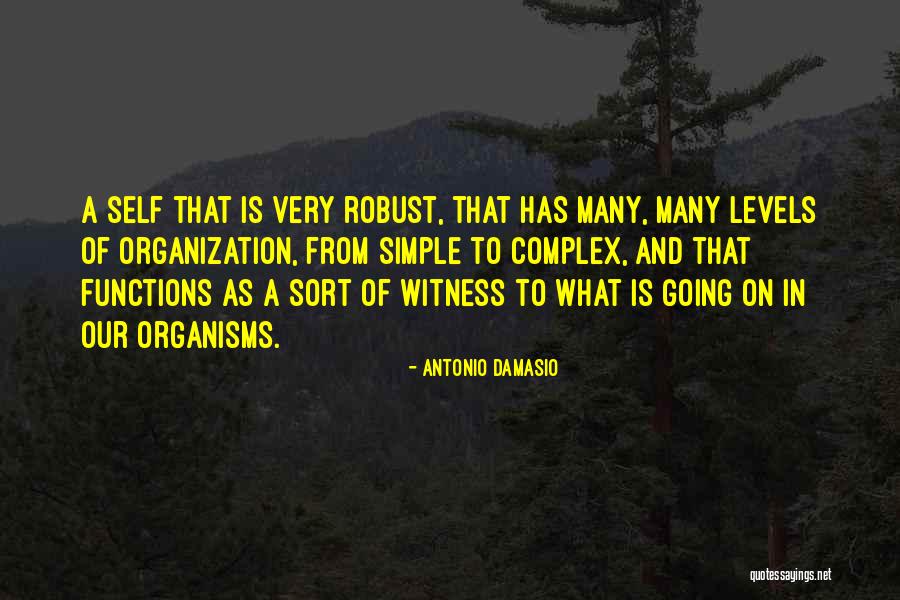 Littlepage Terrace Quotes By Antonio Damasio Littlepage Terrace Quotes By Antonio Damasio
