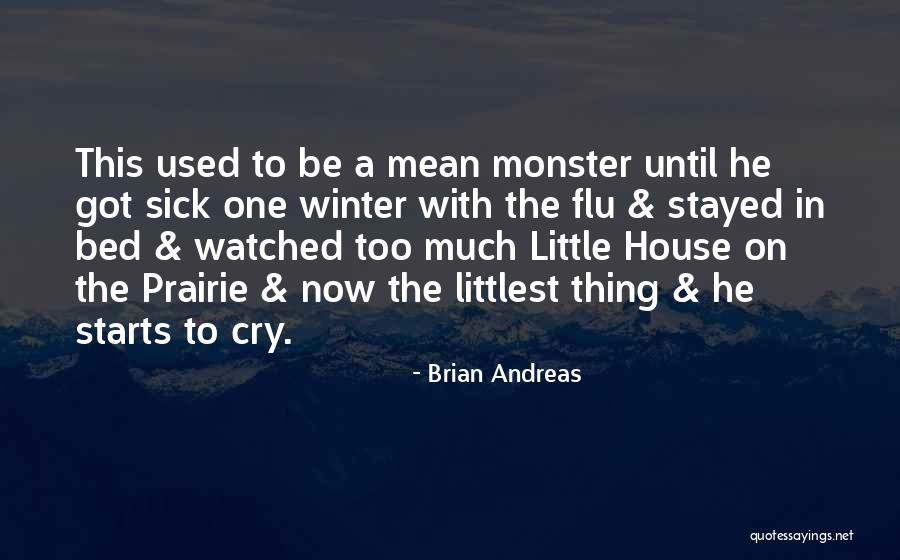 Littlest Quotes By Brian Andreas