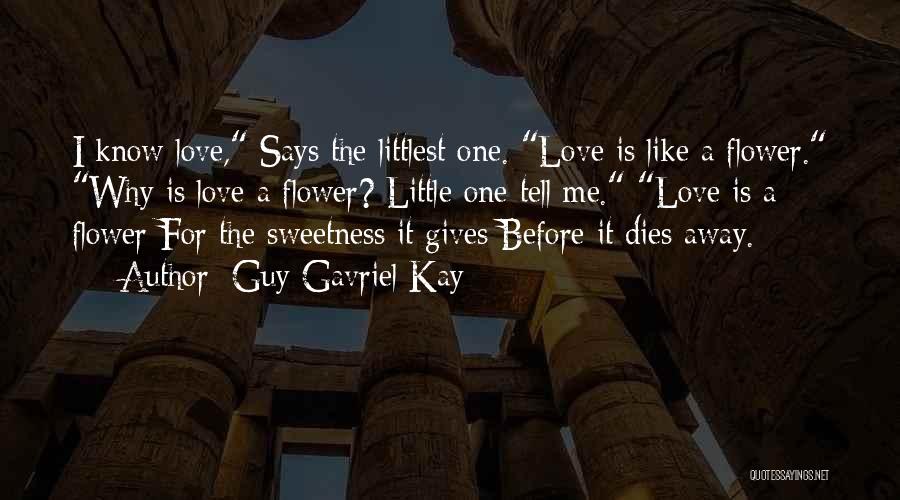 Littlest Quotes By Guy Gavriel Kay