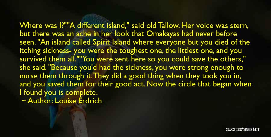 Littlest Quotes By Louise Erdrich