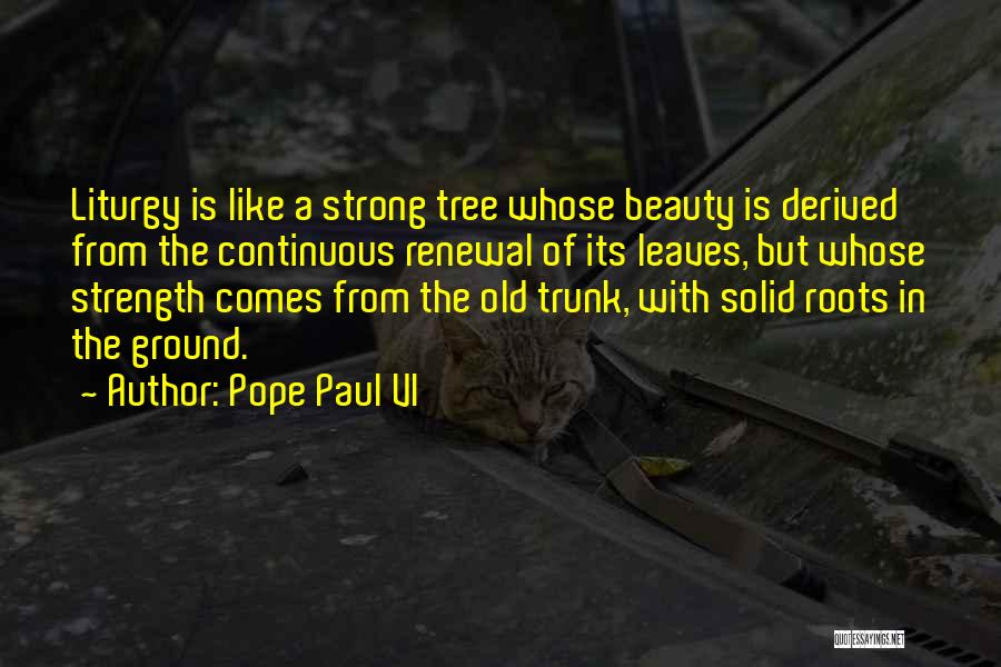 Liturgy Quotes By Pope Paul VI