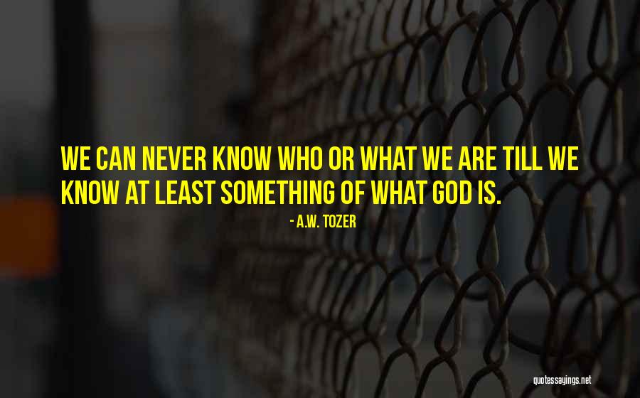 Litwack On Alf Quotes By A.W. Tozer Litwack On Alf Quotes By A.W. Tozer