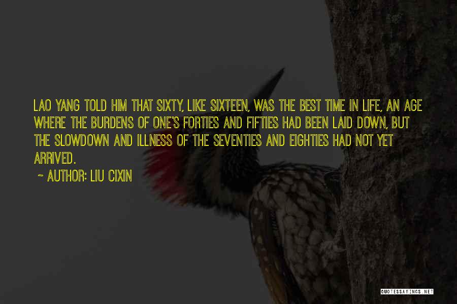 Liu Cixin Quotes 1493967