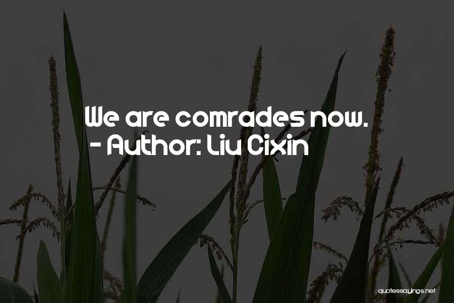 Liu Cixin Quotes 973606