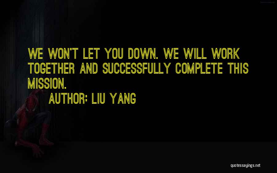 Liu Yang Quotes 989165