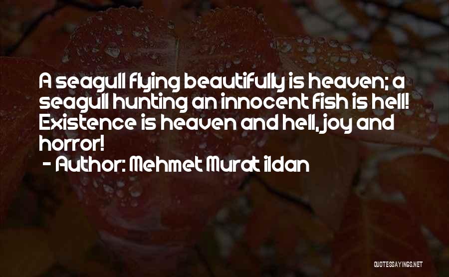 Liutaiyang Quotes By Mehmet Murat Ildan