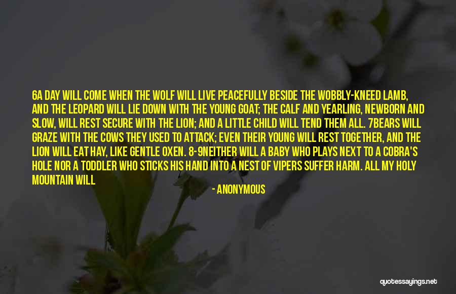 Live 8 Quotes By Anonymous Live 8 Quotes By Anonymous