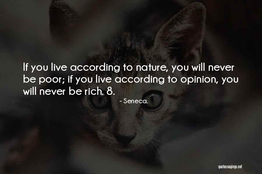 Live 8 Quotes By Seneca.