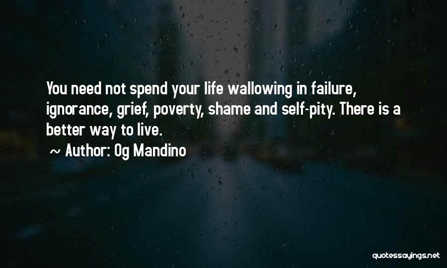 Live A Better Life Quotes By Og Mandino