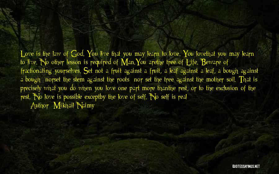 Live A Life Of Love Quotes By Mikhail Naimy