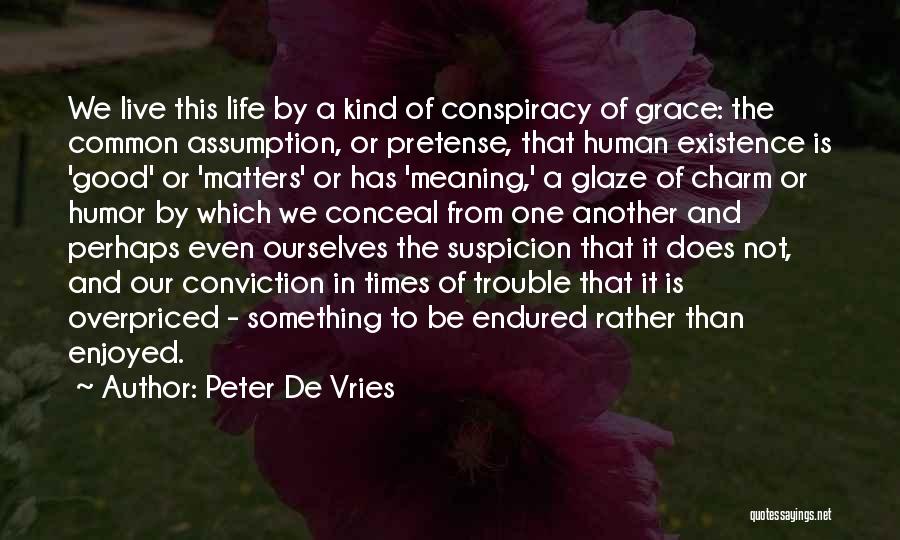 Live A Life That Matters Quotes By Peter De Vries