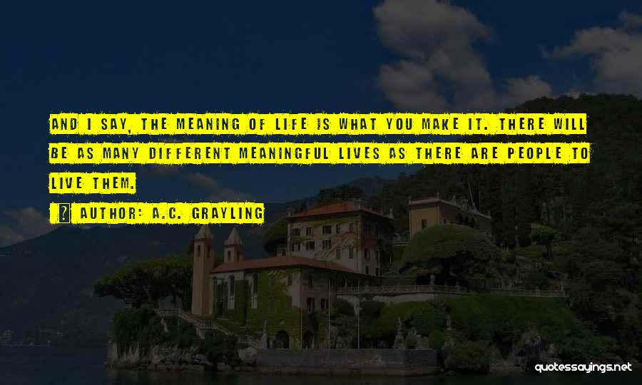 Live A Meaningful Life Quotes By A.C. Grayling